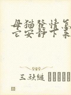 母猫发情怎么让它安静下来