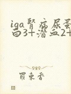 iga肾病尿蛋白3+潜血2+严重吗