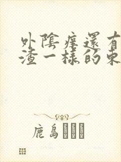 外阴痒还有豆腐渣一样的东西