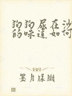 狗狗尿在沙发上的味道如何去除