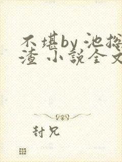 不堪by 池总渣 小说全文免费阅读