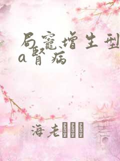 局灶增生型iga肾病