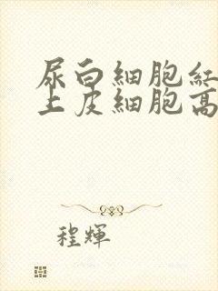 尿白细胞红细胞上皮细胞高