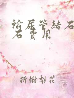 输尿管结石 碎石 费用