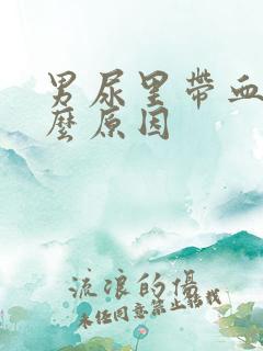 男尿里带血是什么原因