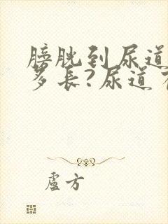 膀胱到尿道口有多长?尿道有多宽