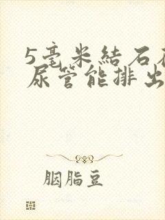 5毫米结石在输尿管能排出来吗