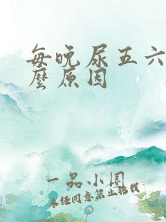 每晚尿五六次什么原因