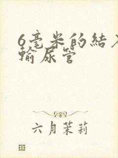 6毫米的结石在输尿管