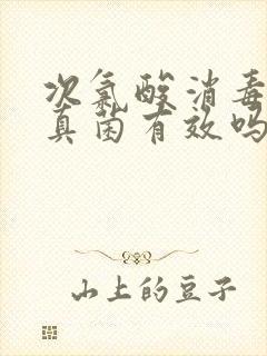 次氯酸消毒液对真菌有效吗