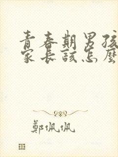 青春期男孩叛逆家长该怎么办