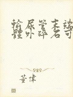 输尿管末端结石体外碎石可以吗