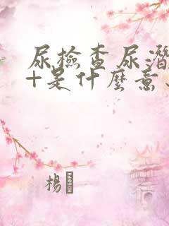 尿检查尿潜血1+是什么意思