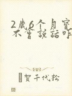 2岁6个月宝宝不会说话咋办