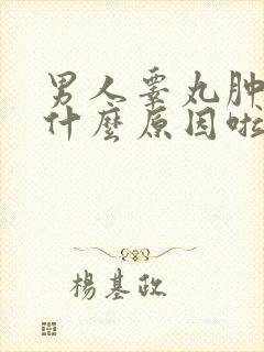 男人睾丸肿痛是什么原因啦