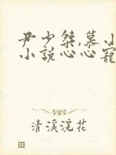 尹少桀,慕小小小说心心宠念