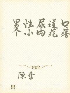 男性尿道口内长个小肉疙瘩是怎么回事