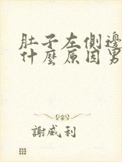 肚子左侧边疼是什么原因男性