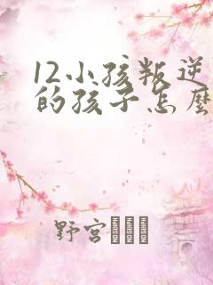 12小孩叛逆期的孩子怎么去引导