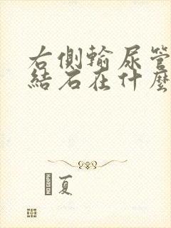 右侧输尿管下段结石在什么位置