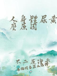 人身体尿黄是什么原因