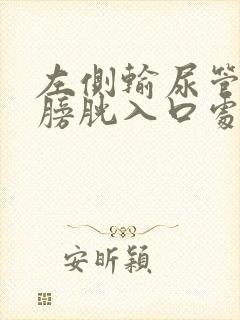 左侧输尿管下段膀胱入口处结石