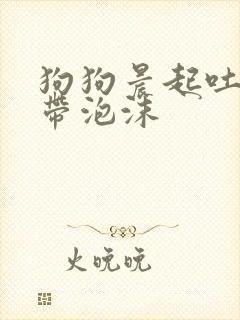 狗狗晨起吐黄水带泡沫