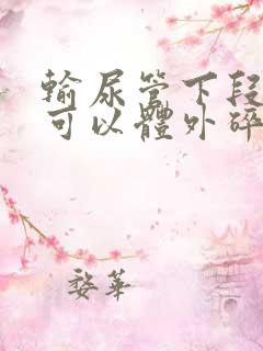 输尿管下段结石可以体外碎石吗