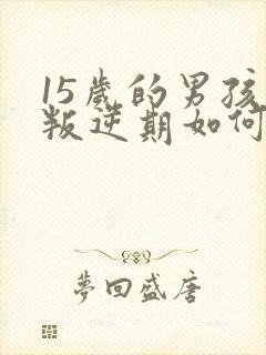 15岁的男孩子叛逆期如何去管教