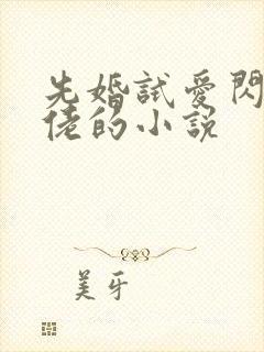 先婚试爱闪婚大佬的小说