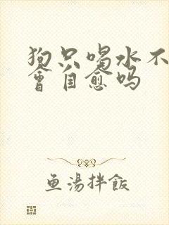 狗只喝水不进食会自愈吗