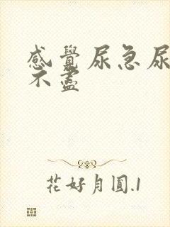 感觉尿急尿频尿不尽