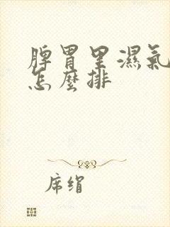 脾胃里湿气太重怎么排