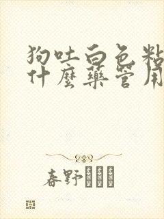 狗吐白色粘液吃什么药管用小狗