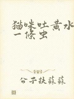 猫咪吐黄水吐出一条虫