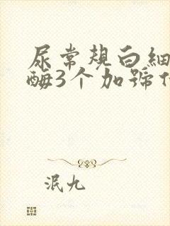 尿常规白细胞酯酶3个加号什么意思