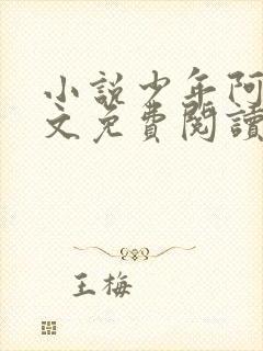 小说少年阿斌全文免费阅读