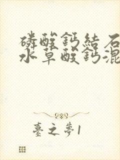 磷酸钙结石与二水草酸钙混合结石