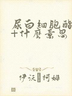 尿白细胞酯酶3+什么意思