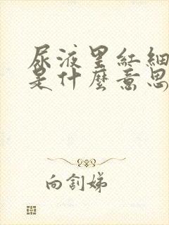 尿液里红细胞高是什么意思