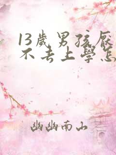 13岁男孩厌学不去上学怎么办