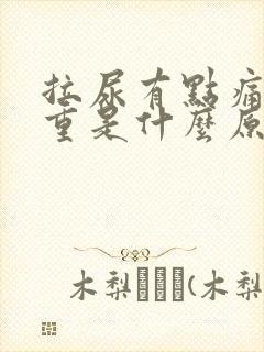 拉尿有点痛气味重是什么原因