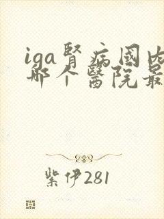 iga肾病国内哪个医院最好