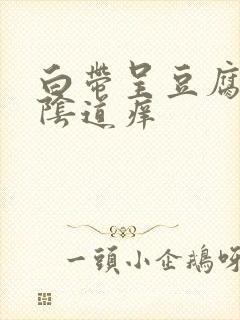 白带呈豆腐渣状阴道痒