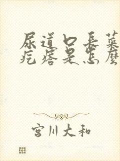 尿道口长菜花状疙瘩是怎么回事