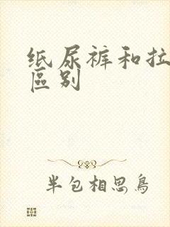 纸尿裤和拉拉裤区别