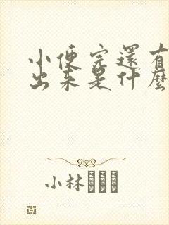 小便完还有尿滴出来是什么原因