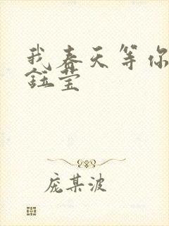 我春天等你 杨钰莹