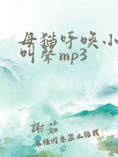 母猫呼唤小猫的叫声mp3