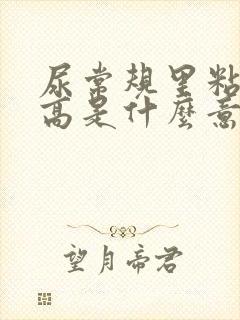 尿常规里粘液丝高是什么意思